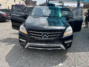 Mercedes-Benz M Class 2014 Black