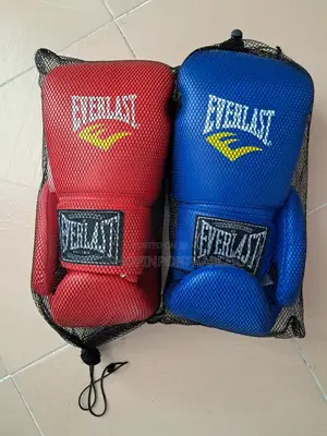 Everlast Boxing Gloves