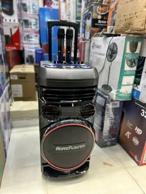 Brand New Home Flower Sound System With Wireless Microphone