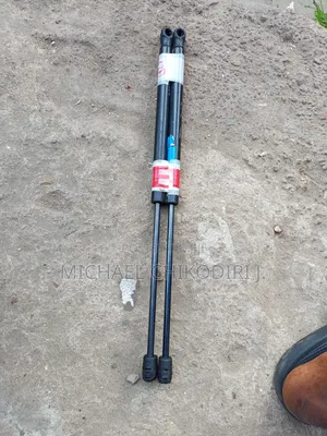 Bonnet Shock Honda Crosstour 2008