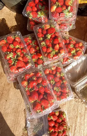 1 Kg of Strawberry