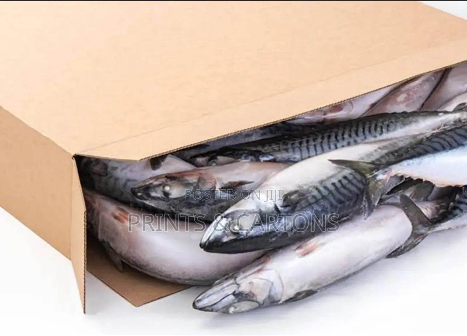 Frozen Fish Packaging Carton