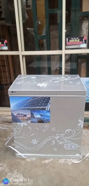 High Quality Lg Solar Chest Freezer (400l) Fast Cooling 5yrs