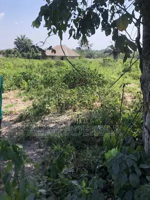 Land Available At Omi Adio