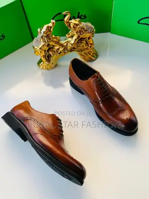 Clark’S Men Quality Shoe