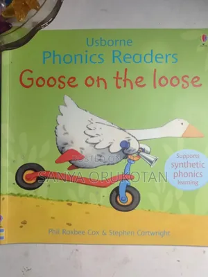 Goose on the Loose