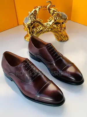 Louis Vuitton Shoes