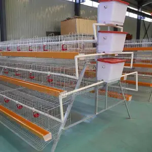 High Quality Imported Poultry Cage, Battery Cage 120birds