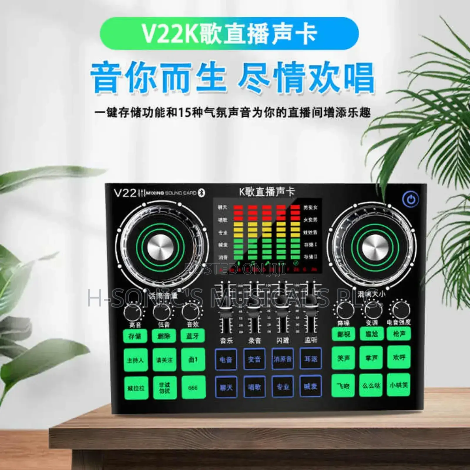 Professional V22 Live Streaming Soundcard