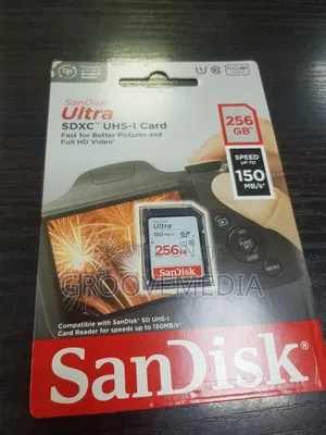 256gb Sandisk SD Card