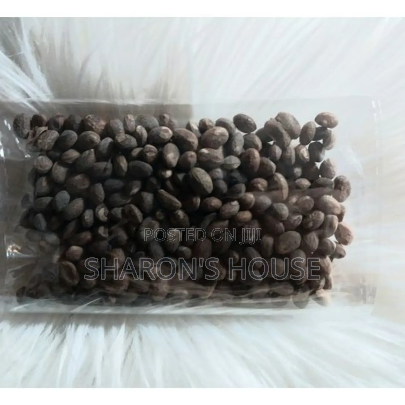 Miracle Seed/ Ghana Seed