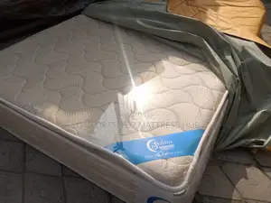 Lastest Foreign Spring Orthopedic Mattress