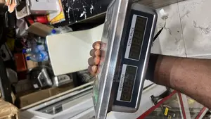 Famous Scale Head Max Weight 300kg