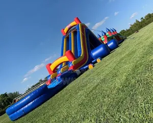 Photo - Big Slide and Swim Bouncing Castle for Sale