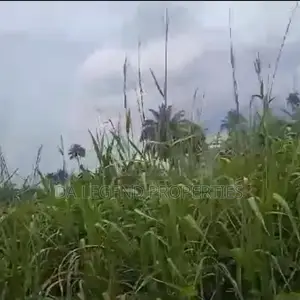 100plots of Land for Sale