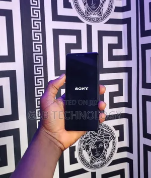 Photo - Sony Xperia 10 II 128 GB Gray