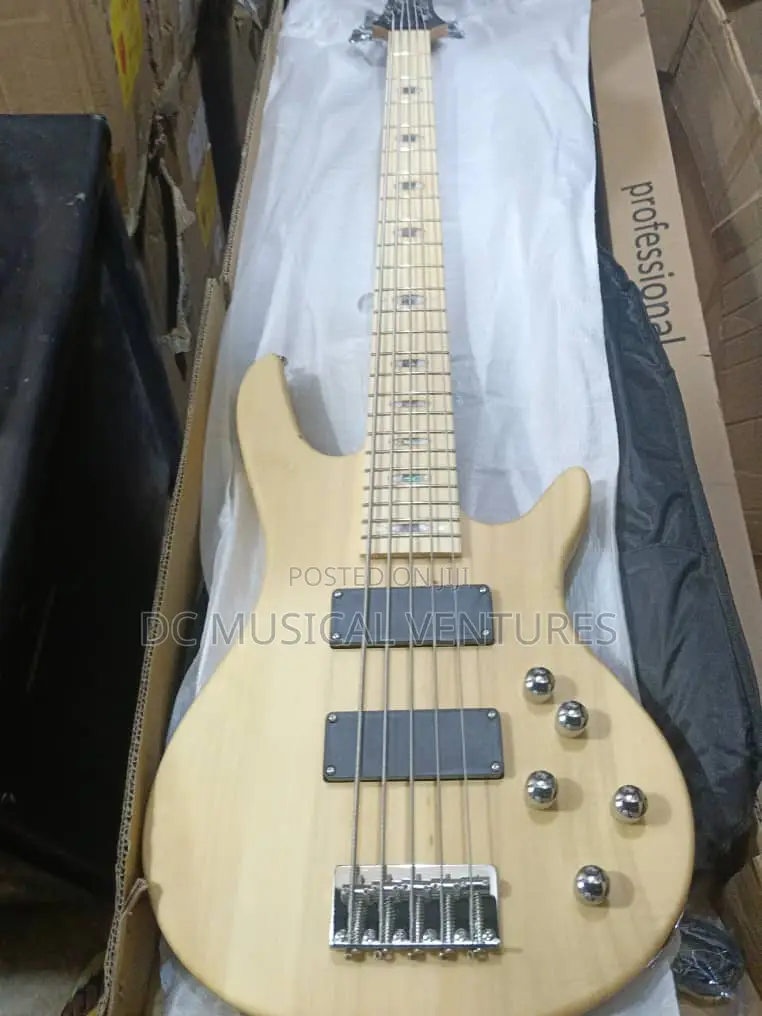 Active Fender Bass Guitar 5 Strings