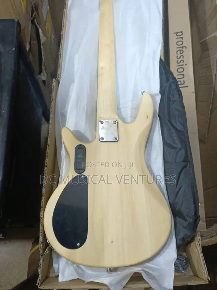 Active Fender Bass Guitar 5 Strings