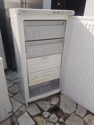 Standing Freezer for Block or Home Use
