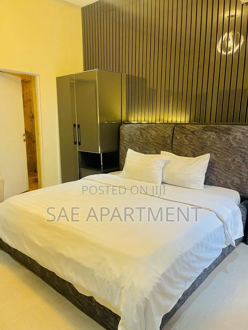 Charming Studio Apartment, Wuse 2 Abuja