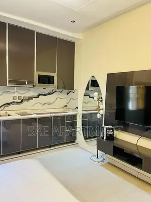 Charming Studio Apartment, Wuse 2 Abuja