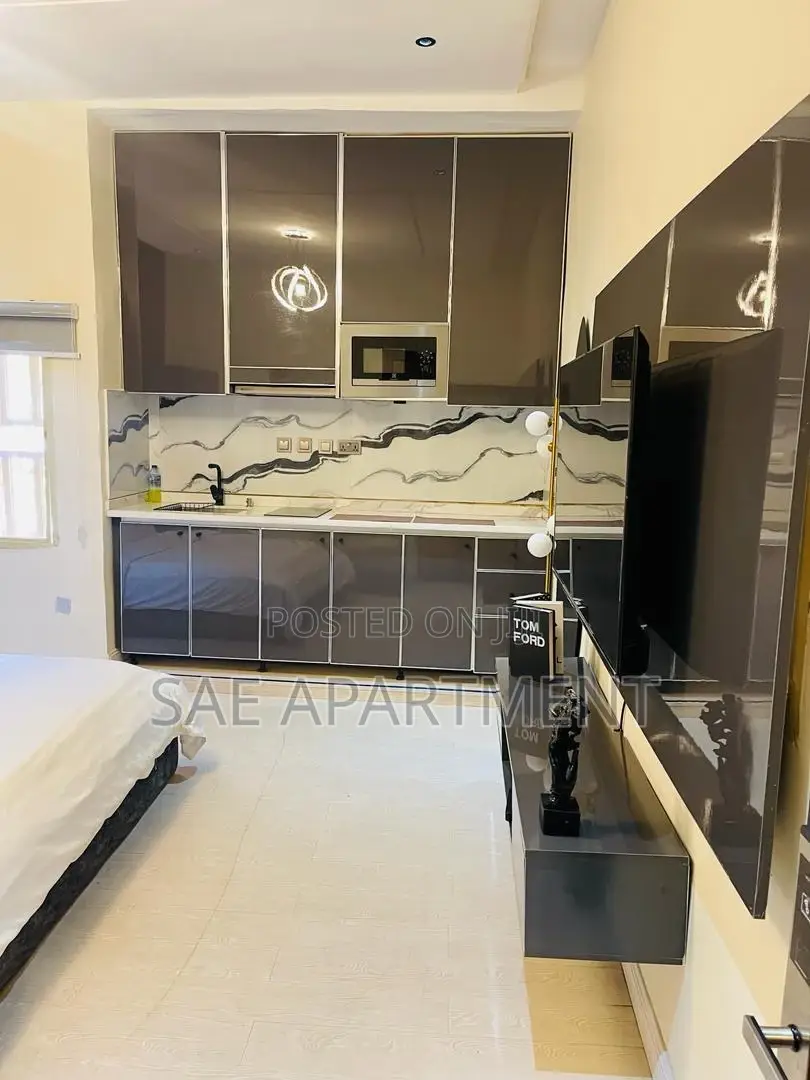 Charming Studio Apartment, Wuse 2 Abuja