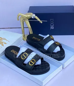 Luxurious Dior Slide