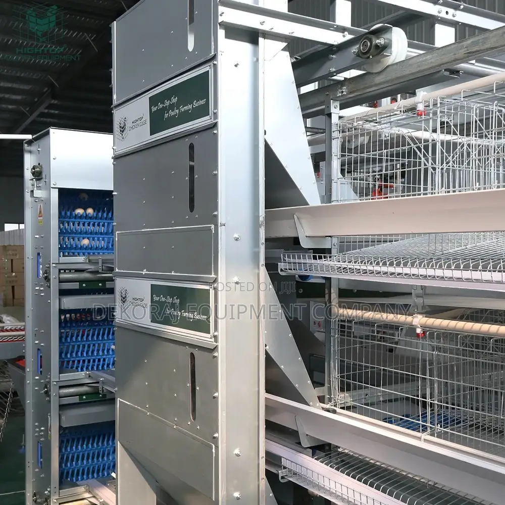 H Type Automatic Layer Rearing Cage ,Fish Smoking Kiln