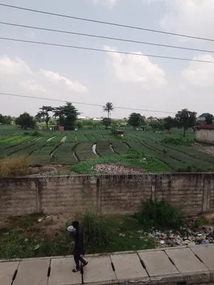40 Acres of Land With Certificate of Occupancy (C of O)