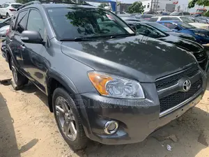 Toyota RAV4 2010 Gray