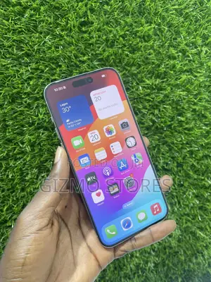 Apple iPhone 15 Pro Max 256 GB Silver