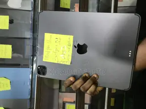 Apple iPad Pro 11 (2021) 128 GB Gray
