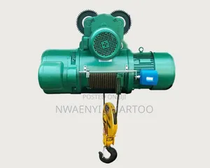 Electric Wire Hoist 5ton Capacity