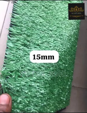 Artificial Grass