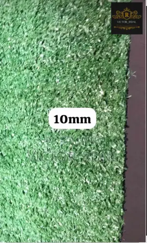 Artificial Grass