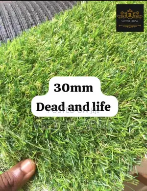 Artificial Grass