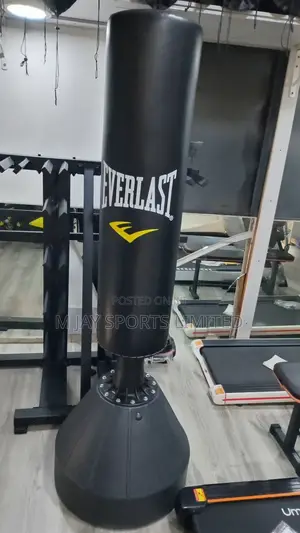 Standing Punching Bag