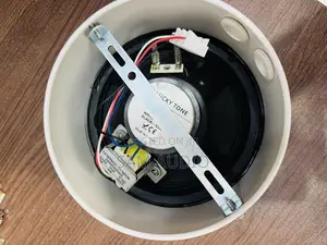 Surface Speaker