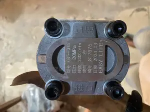 Hydraulic Pump Without Motor GBT-F314 20mpa 2000/Min S7576