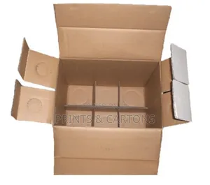 Carton Box With Partition