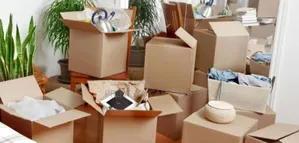 Carton Box for Clothing