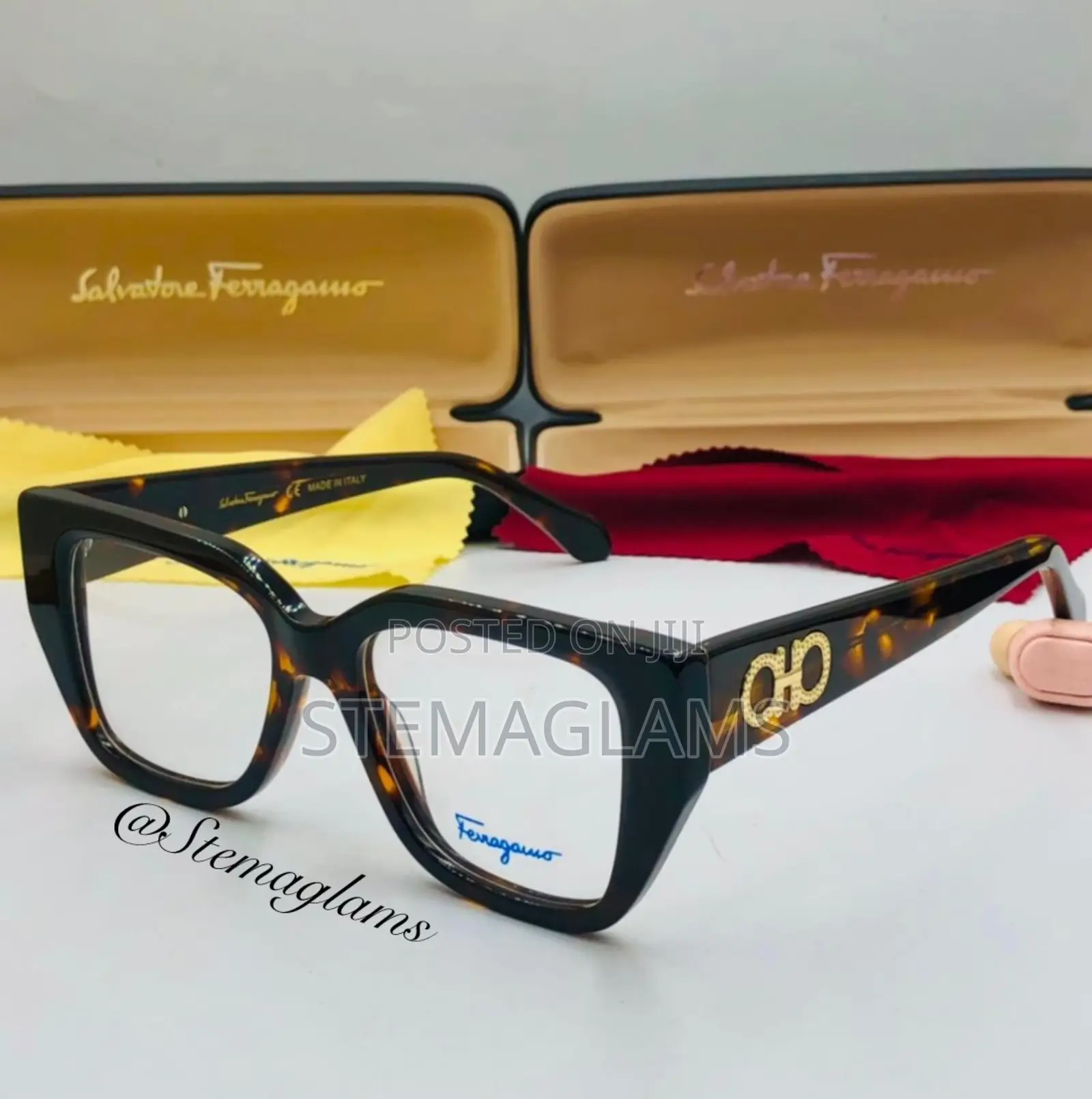 Salvatore Ferragamo Glasses