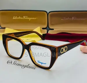 Salvatore Ferragamo Glasses