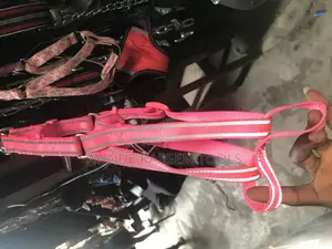 Pet Vest Harness