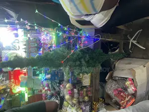 Christmas Light And With Complete Accessories Available