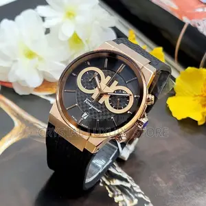 Salvatore Ferragamo Quality Luxury Men Wristwatch