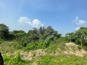 Full Plots of Land for Sale