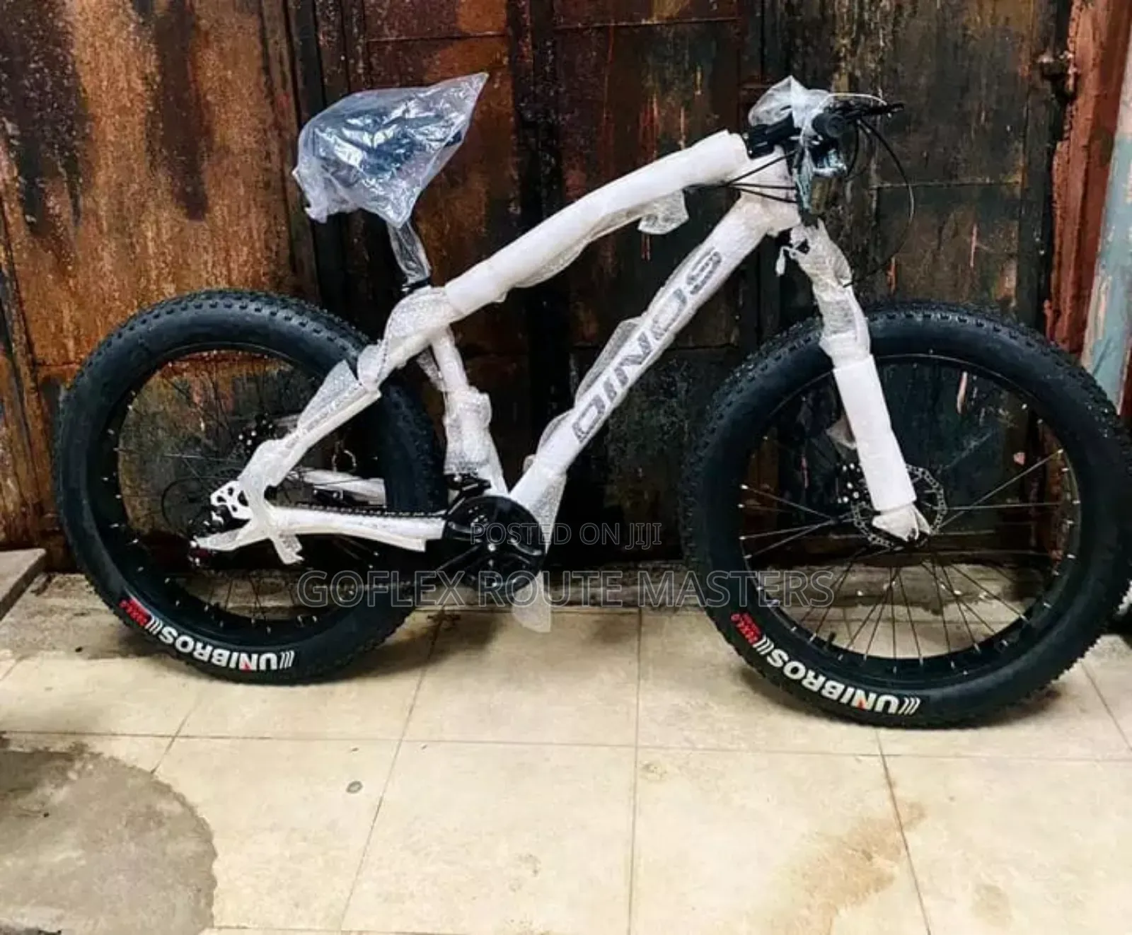 Electric Bicycle