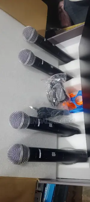 4 in 1 Professional Microphone System