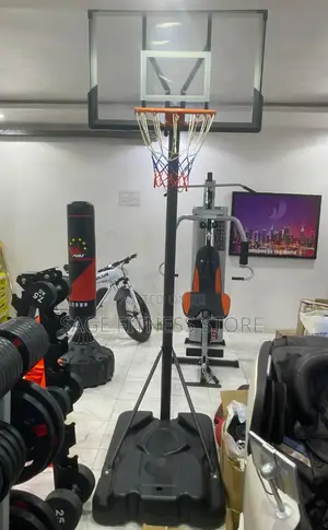 Movable Basketball Stand
